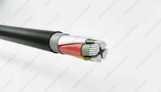 Кабель АВВГЭ 1х300, 1 кВ